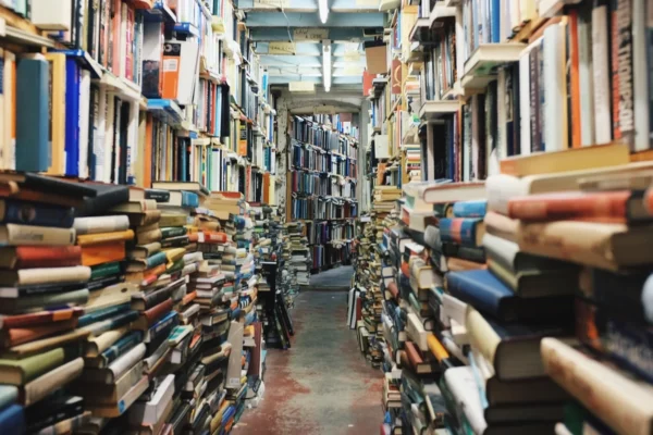 Warm interior of one of the best independent bookstores with tall wooden shelves and readers browsing